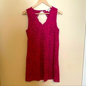 Francescas Lace Shift Dress